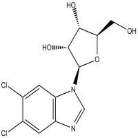 Phenytoin