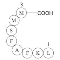 Influenza A virus fragment