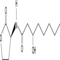 N-3-hydroxyoctanoyl-L-Homoserine lactone