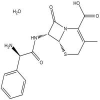 Cephalexin monohydrate