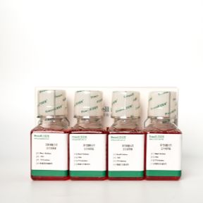 人口腔角质形成细胞完全培养基