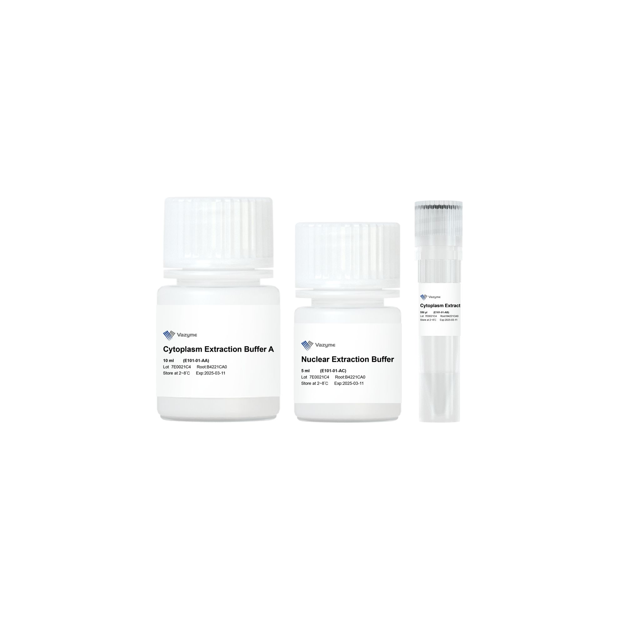 Nuclear and Cytoplasmic Extraction Kit( E101)