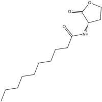 N-decanoyl-L-Homoserine lactone