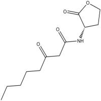 N-3-oxo-octanoyl-L-Homoserine lactone