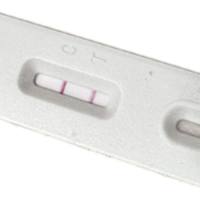 大肠杆菌O157快速检测试剂（金标法）说明书