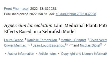 Front Pharmacol丨基于斑马鱼模型研究药用植物贯叶连翘的潜在毒性与多效性
