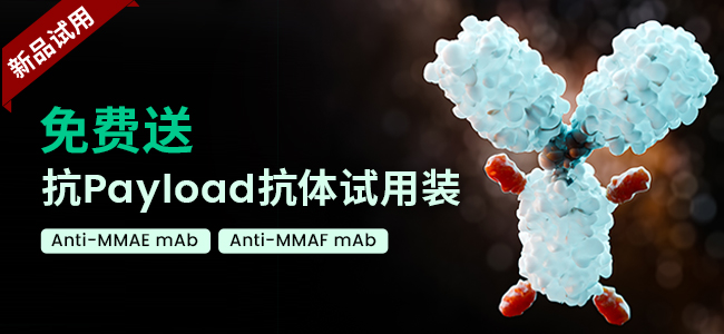 抗Payload抗体试用装免费送，助力ADC药物研发