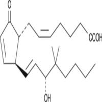 16,16-dimethyl Prostaglandin A2
