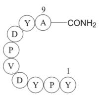 hemagglutinin precursor (114-122) amide [Influenza A virus]