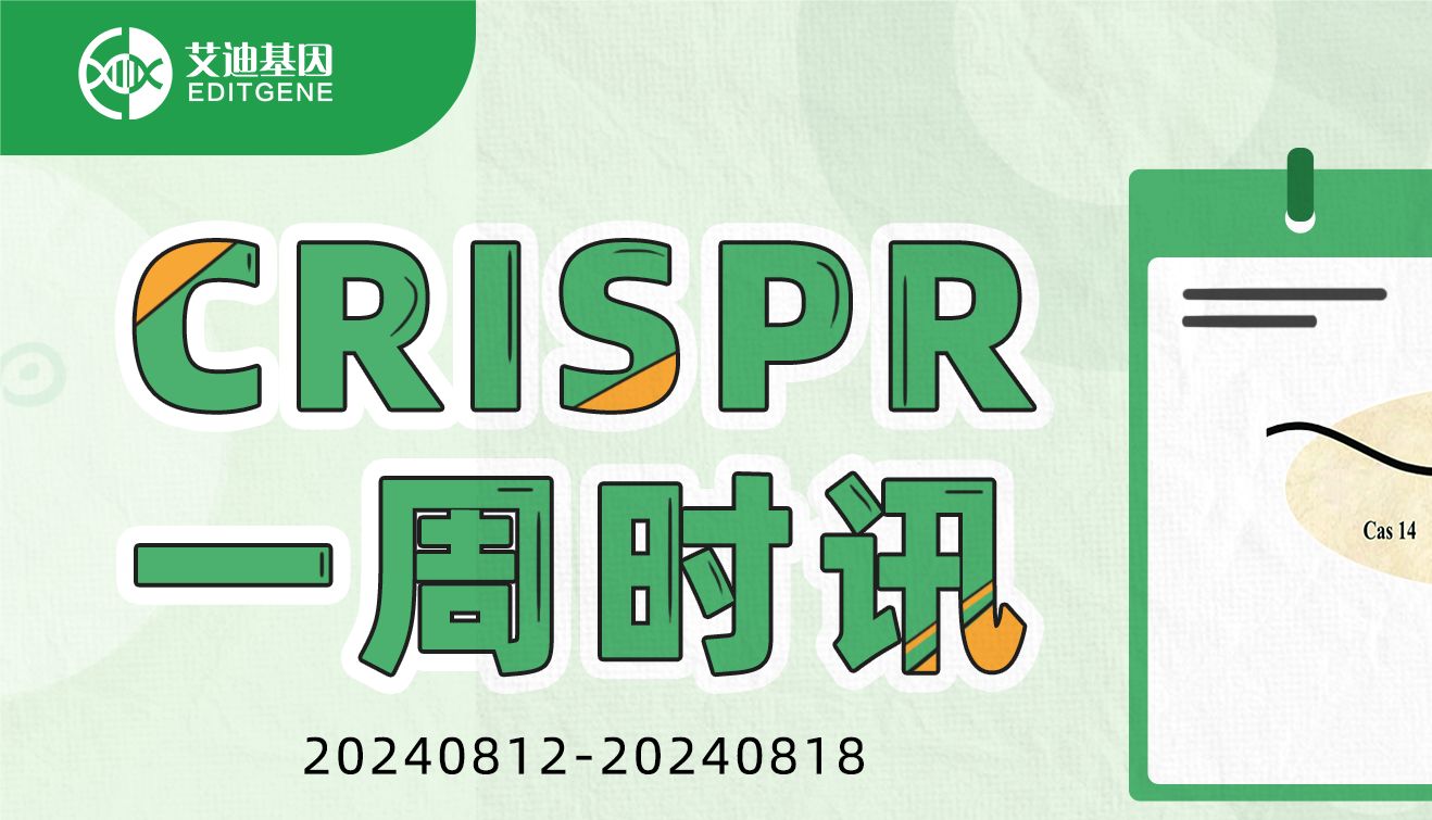 VII型CRISPR-Cas系统：加入CRISPR家族，为基因编辑注入新动力！