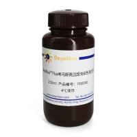 BeyoBlue™ Plus考马斯亮蓝超快染色液(低背景)
