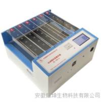 大小鼠跑步机/大小鼠全自动跑步机