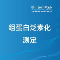 组蛋白泛素化测定