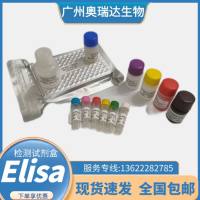 人己糖激酶（HK）ELISA检测试剂盒