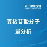 寡核苷酸分子量分析