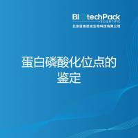 蛋白磷酸化位点的鉴定