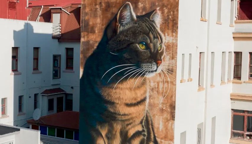 在血管生成载玻片中用层粘连蛋白-胶原蛋白 I 基质胶进行血管生成实验