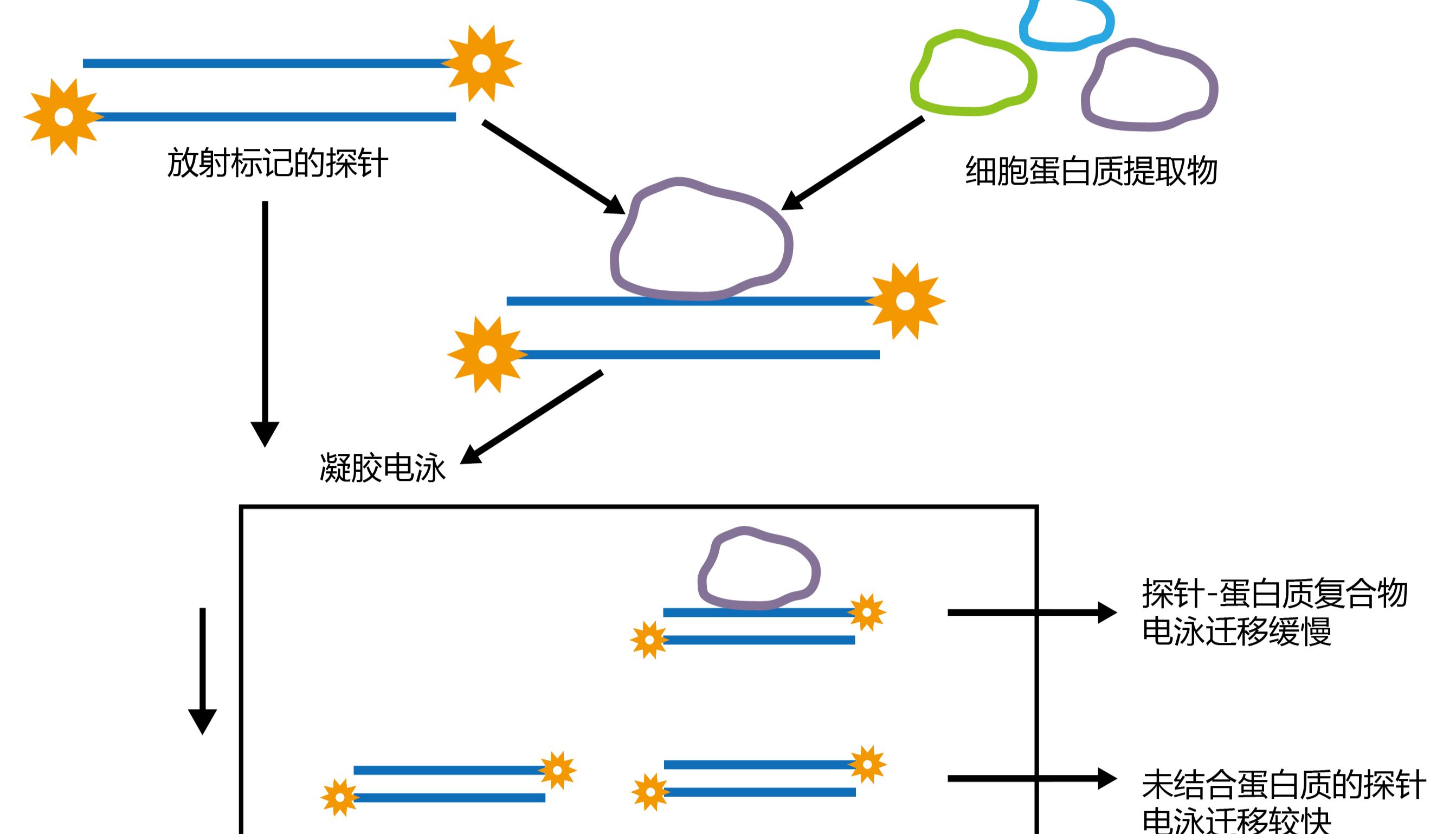 LncRNA数据深度挖掘工具（二）