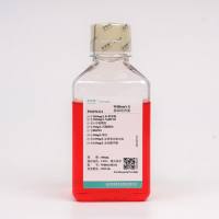 William's E (不含L-谷氨酰胺)