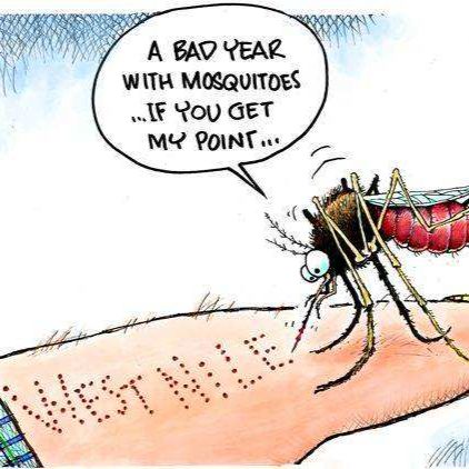 西尼 罗河病毒IgG/IgM抗体检测试剂盒 说明书