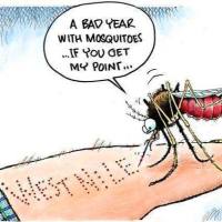 西尼 罗河病毒IgG/IgM抗体检测试剂盒 说明书