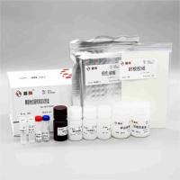 HJ138 Rat IL-6 ELISA Kit