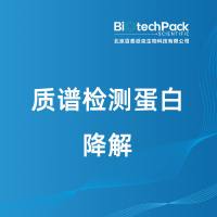 质谱检测蛋白降解