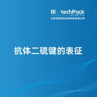 抗体二硫键的表征