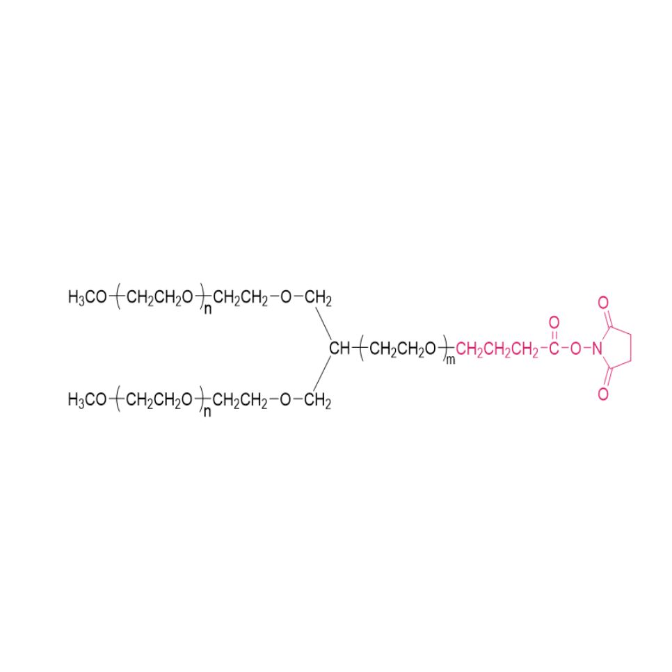 Y型聚乙二醇琥珀酰亚胺丁酸酯,Y-shape PEG-SBA