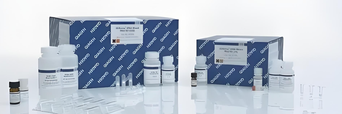 凯杰qiagen质粒提取试剂盒配方