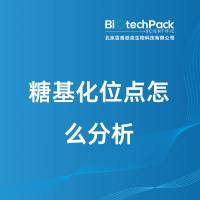 糖基化位点怎么分析