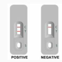 出血热汉坦病毒快速检测试剂盒 说明书