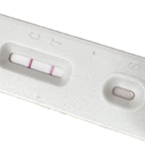 汉坦病毒快速检测卡（胶体金法）