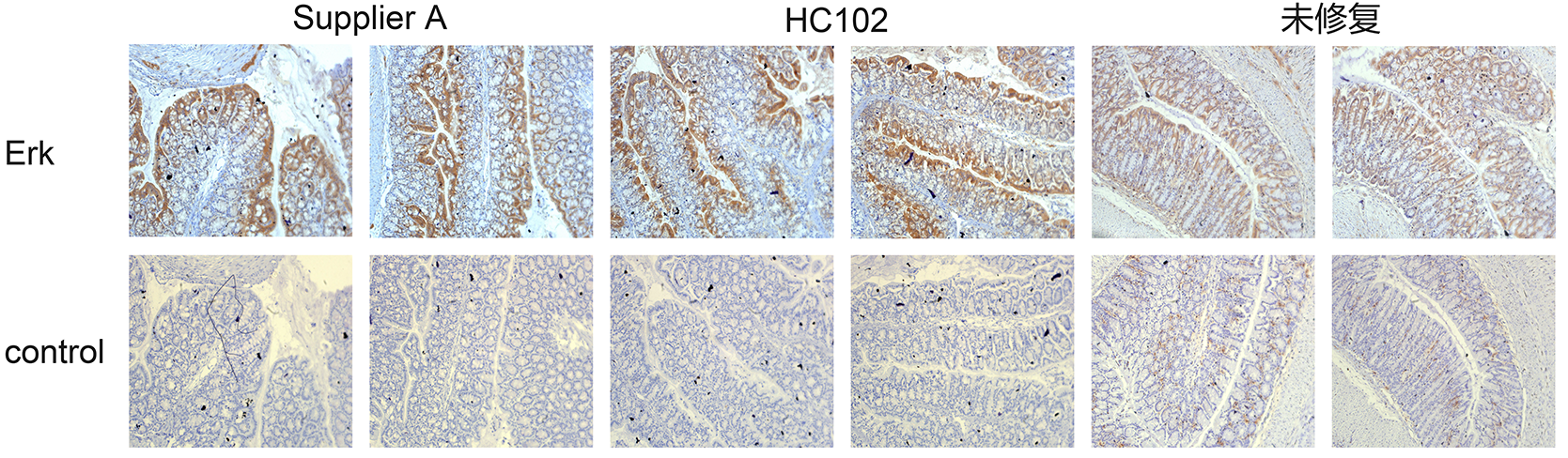 南京诺唯赞生物科技股份有限公司 南京诺唯赞生物科技股份有限公司
