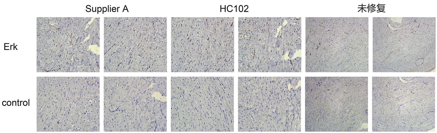 南京诺唯赞生物科技股份有限公司