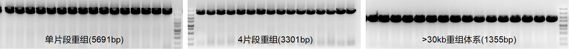 南京诺唯赞生物科技股份有限公司 南京诺唯赞生物科技股份有限公司