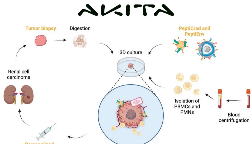 AKITA器官芯片应用--肿瘤免疫疗法芯片_曼博生物