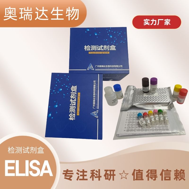 人血管舒缓激肽（BK）ELISA检测试剂盒