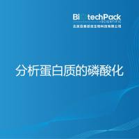 分析蛋白质的磷酸化