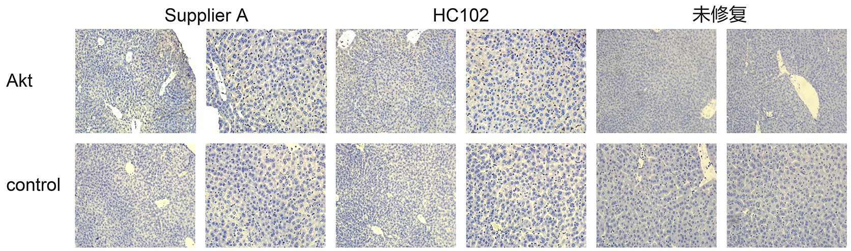 南京诺唯赞生物科技股份有限公司 南京诺唯赞生物科技股份有限公司