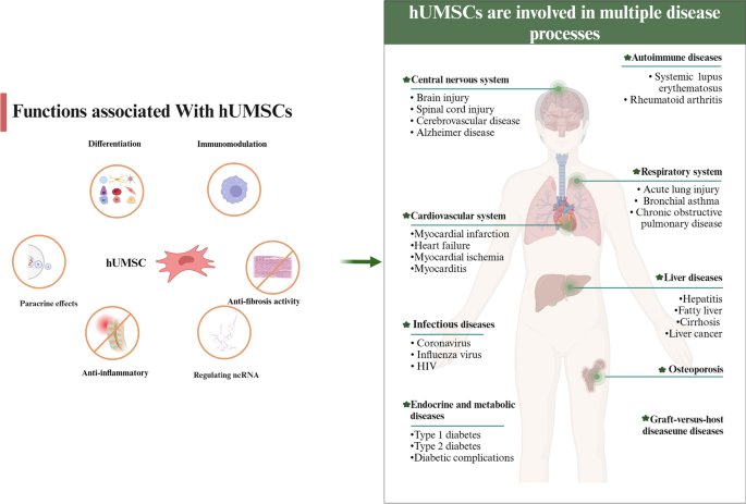 hUMSCs是个“宝”，扩增宝库全靠-AMMS®MSC无血清培养试剂盒