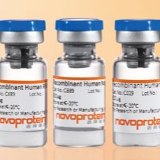 重组人胰岛素 Recombinant Human Insulin