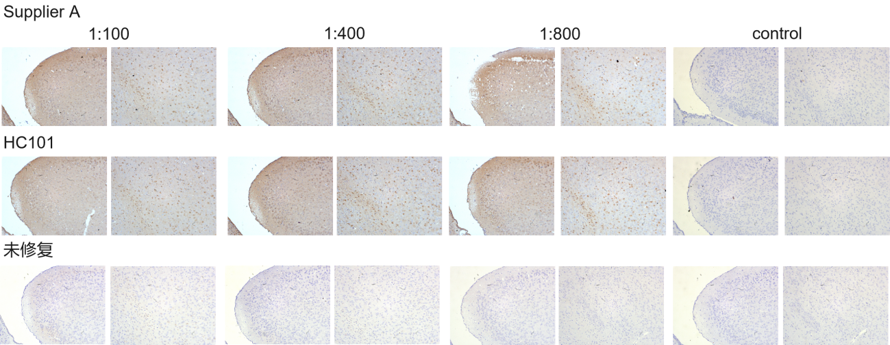 南京诺唯赞生物科技股份有限公司 南京诺唯赞生物科技股份有限公司