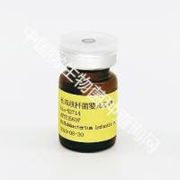 长双歧杆菌婴儿亚种