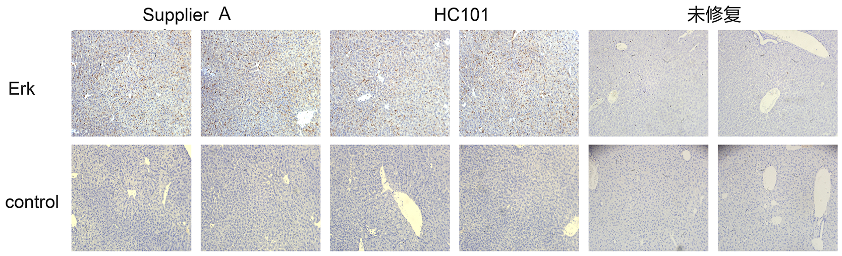 南京诺唯赞生物科技股份有限公司 南京诺唯赞生物科技股份有限公司