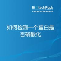 如何检测一个蛋白是否磷酸化