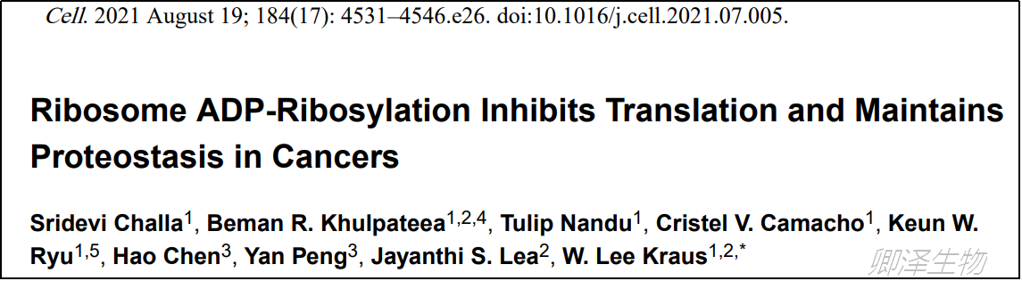 Cell. | Polysome profiling技术助力揭示核糖基化修饰与卵巢癌治疗新靶点