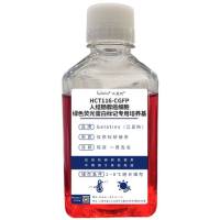 HCT116-CGFP人结肠腺癌细胞-绿色荧光蛋白标记专用培养基