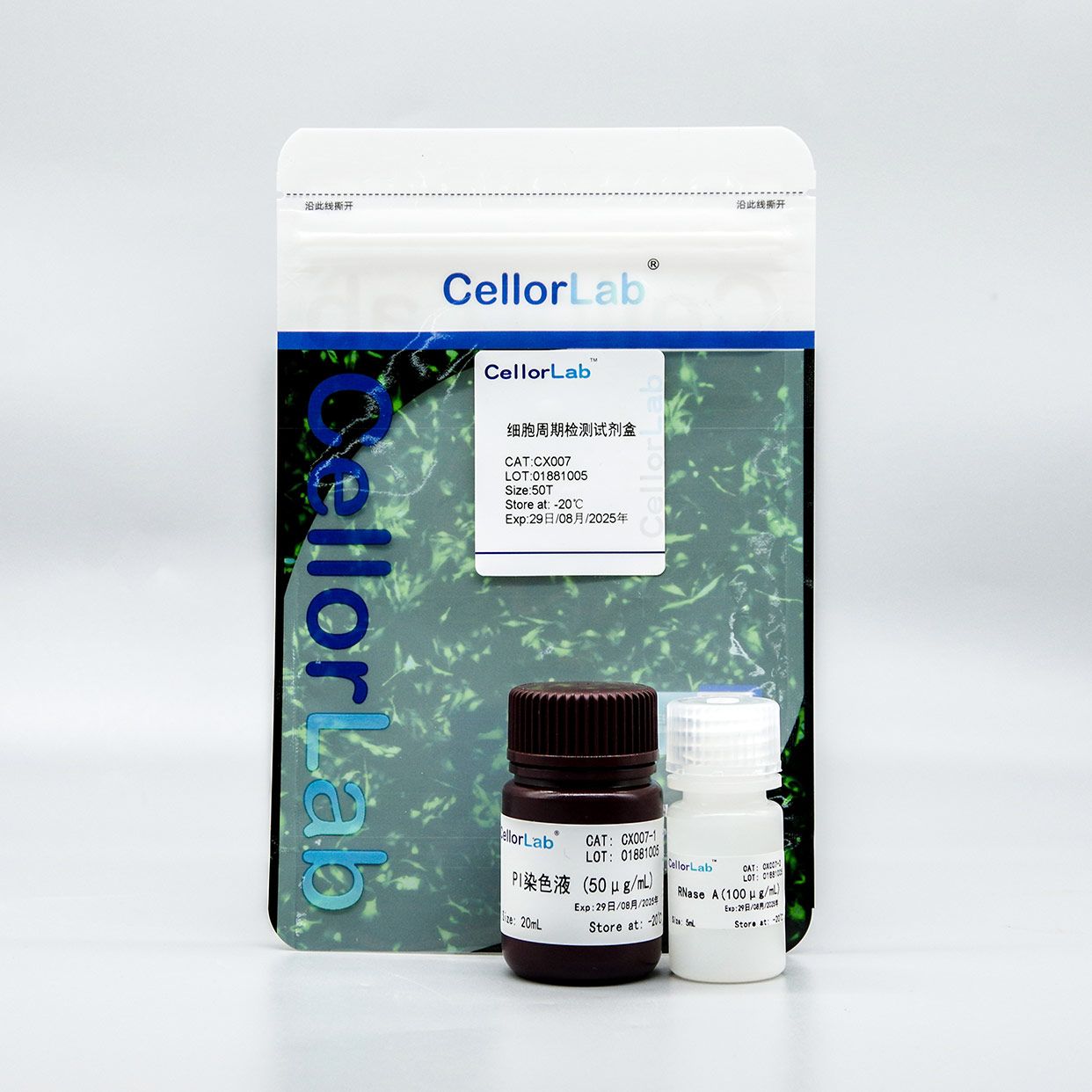 雅酶CX007 细胞周期检测试剂盒