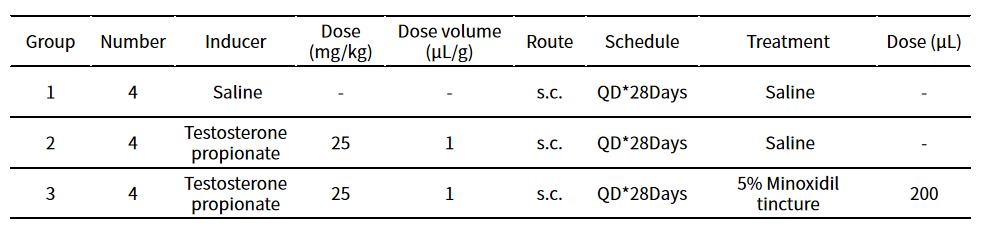 造模百科 | 雄激素性脱发小鼠模型